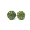 Sea Urchin / Kina Shell Studs - Image 3