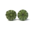 Sea Urchin / Kina Shell Studs - Image 4