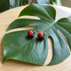 Ladybug Stud earrings
