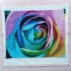Colourful Rose - Image 10
