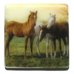 Resin Coasters - Horses