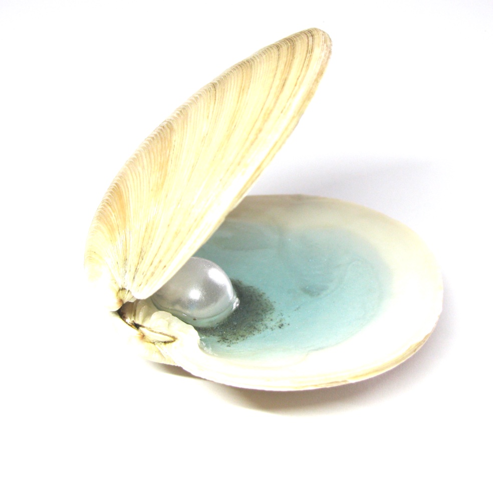 Shell Trinket Dishes - Image 11