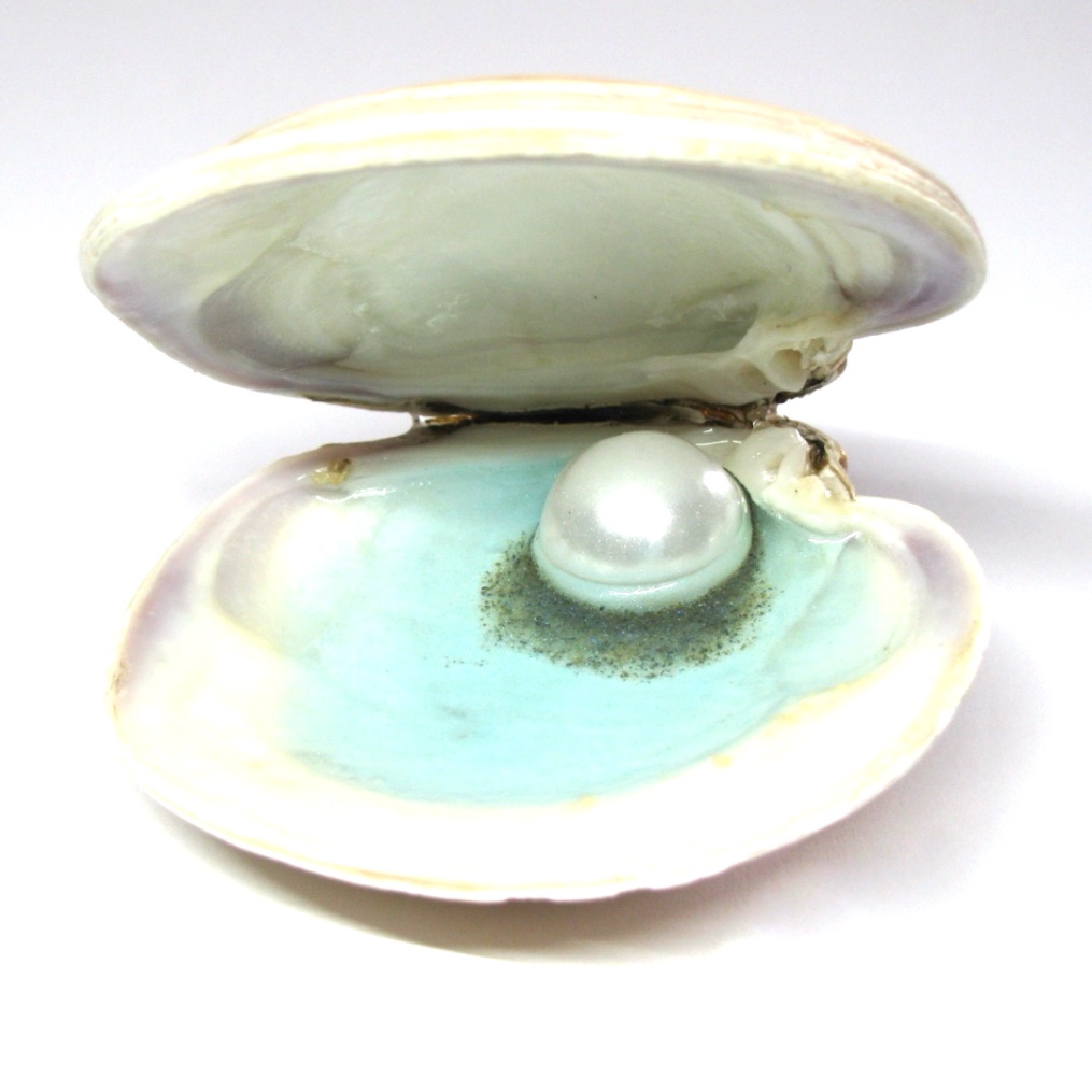 Shell Trinket Dishes - Image 12