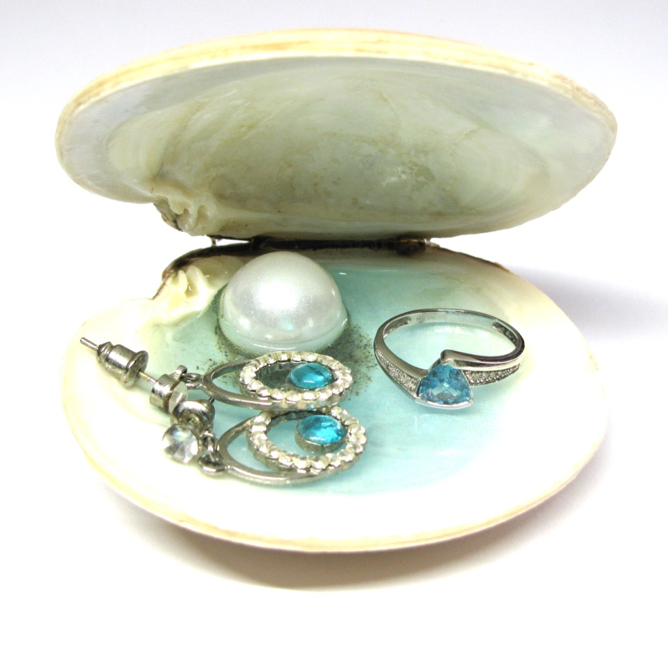 Shell Trinket Dishes - Image 13