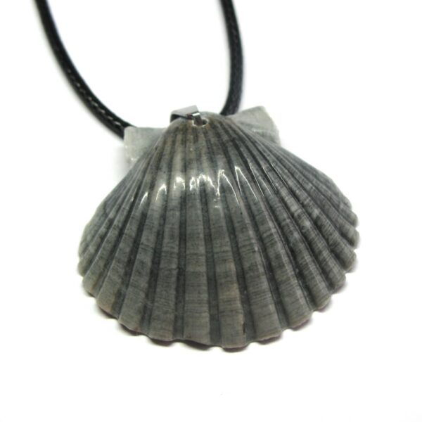 Black Scallop Shell Necklace