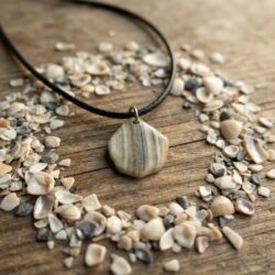 Striped Shell Fragment Necklace