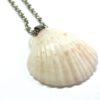 Pink Scallop Shell Necklace - Image 2