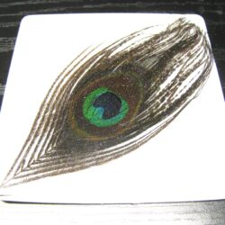 Resin Coasters - Peacock Feather