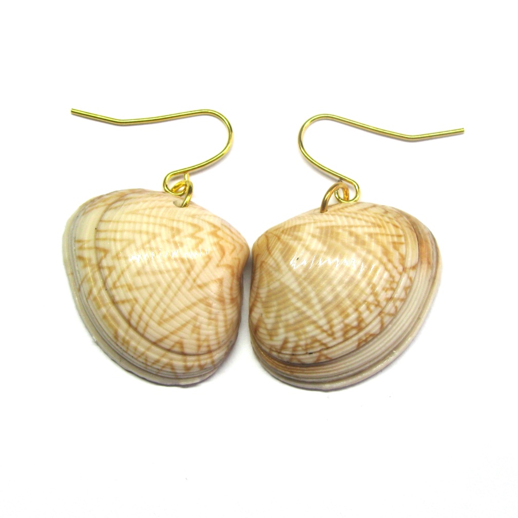 Zigzag Bivalve Shell Earrings