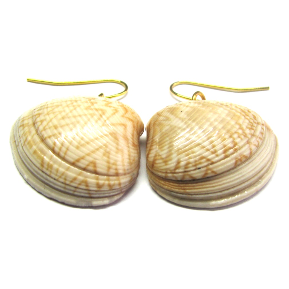 Zigzag Bivalve Shell Earrings - Image 3