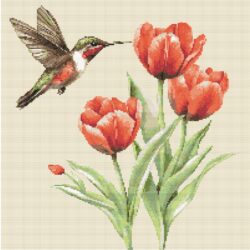 Hummingbird & Tulips