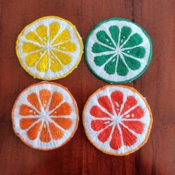 Fruit Slice Coasters