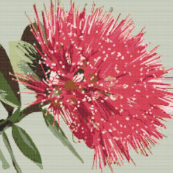 Pohutukawa