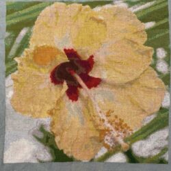 Hibiscus - yellow