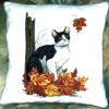 Cats - Image 4