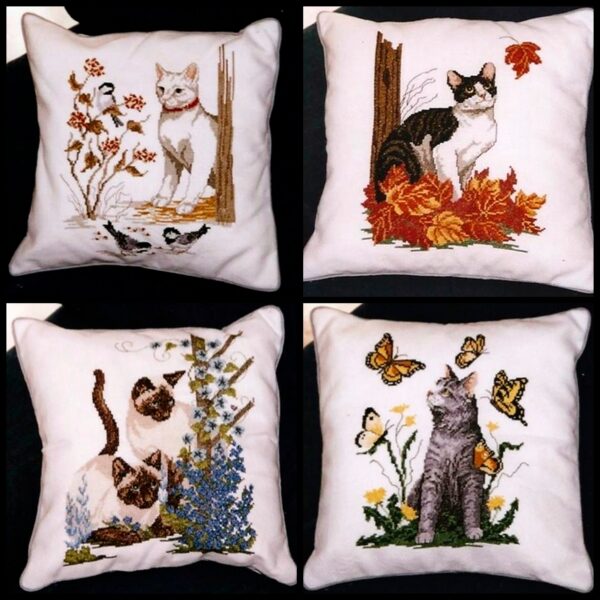 Cats