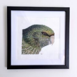 Classic Kākāpō