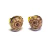 Sea Snail Studs - Image 2