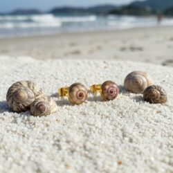 Sea Snail Studs