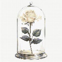 Rose in Glass - Cream