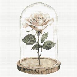 Rose in Glass - Pale Pink