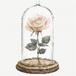 Rose in Glass - Peach