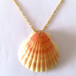 Peach Scallop Shell Necklace